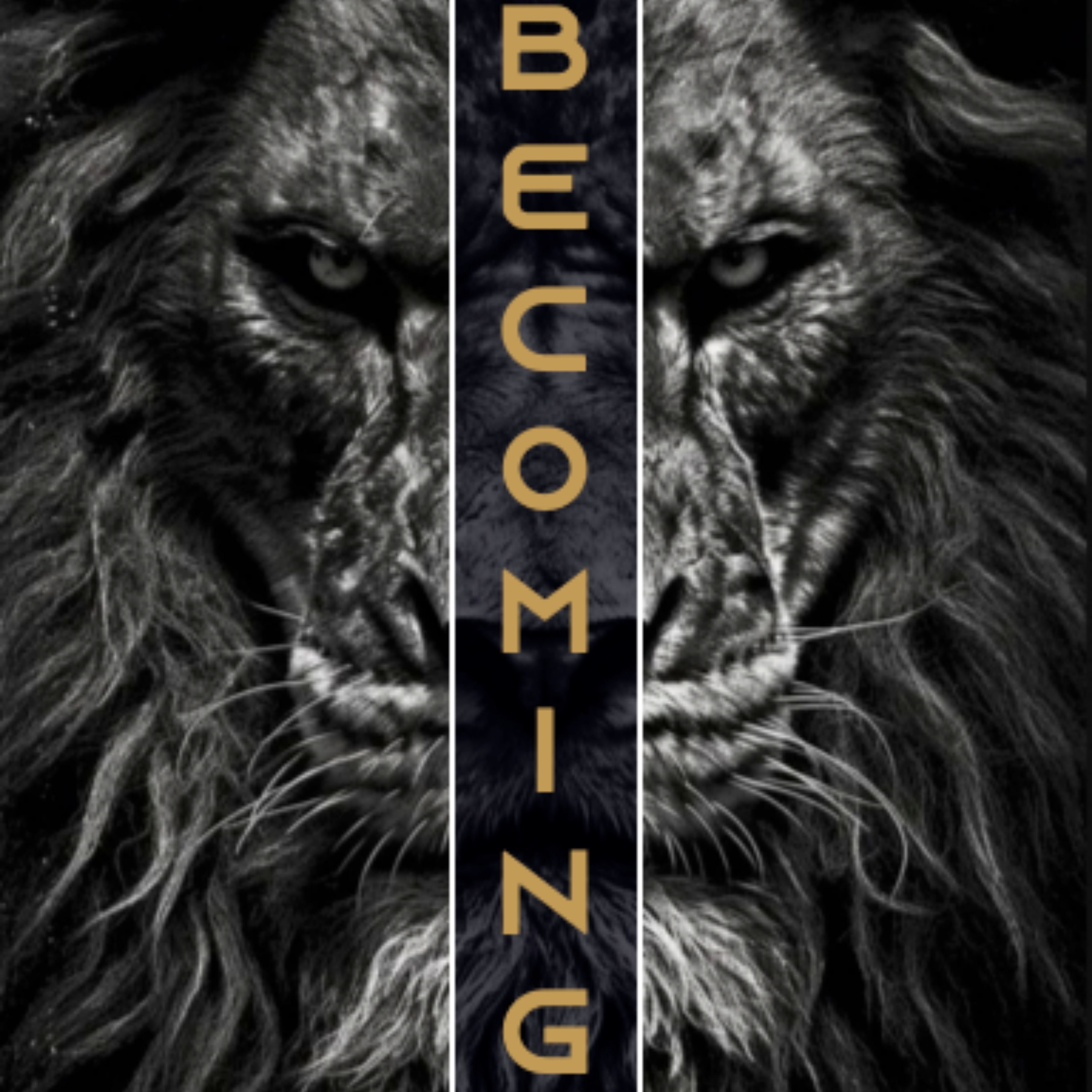 FLOW S HAZE X Human Hybrid Barefoot Workout Shoes