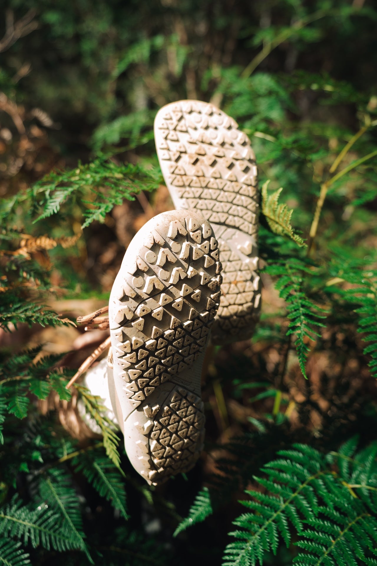 WILD Lite VALLEY Hiking Shoes (vegan friendly)